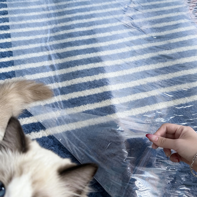Pet friendly carpet protective film