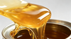 Solvent Based Acrylic Adhesive TL-69A17