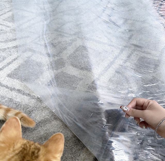 Clear carpet protection film for homes with pets